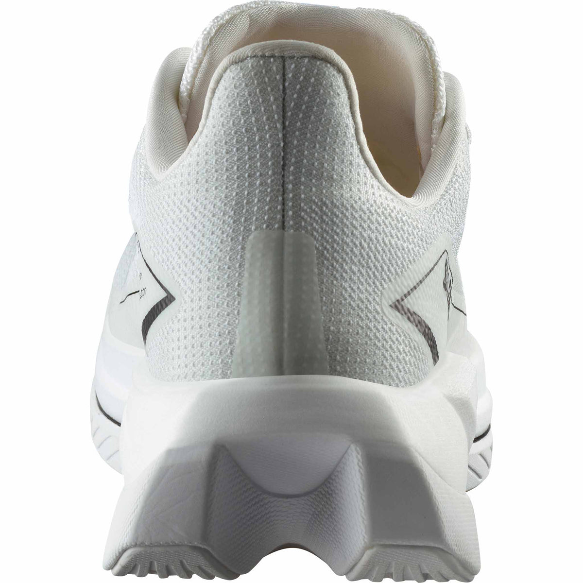 Salomon Salomon S/Lab Spectur chaussures de course à pied unisexe