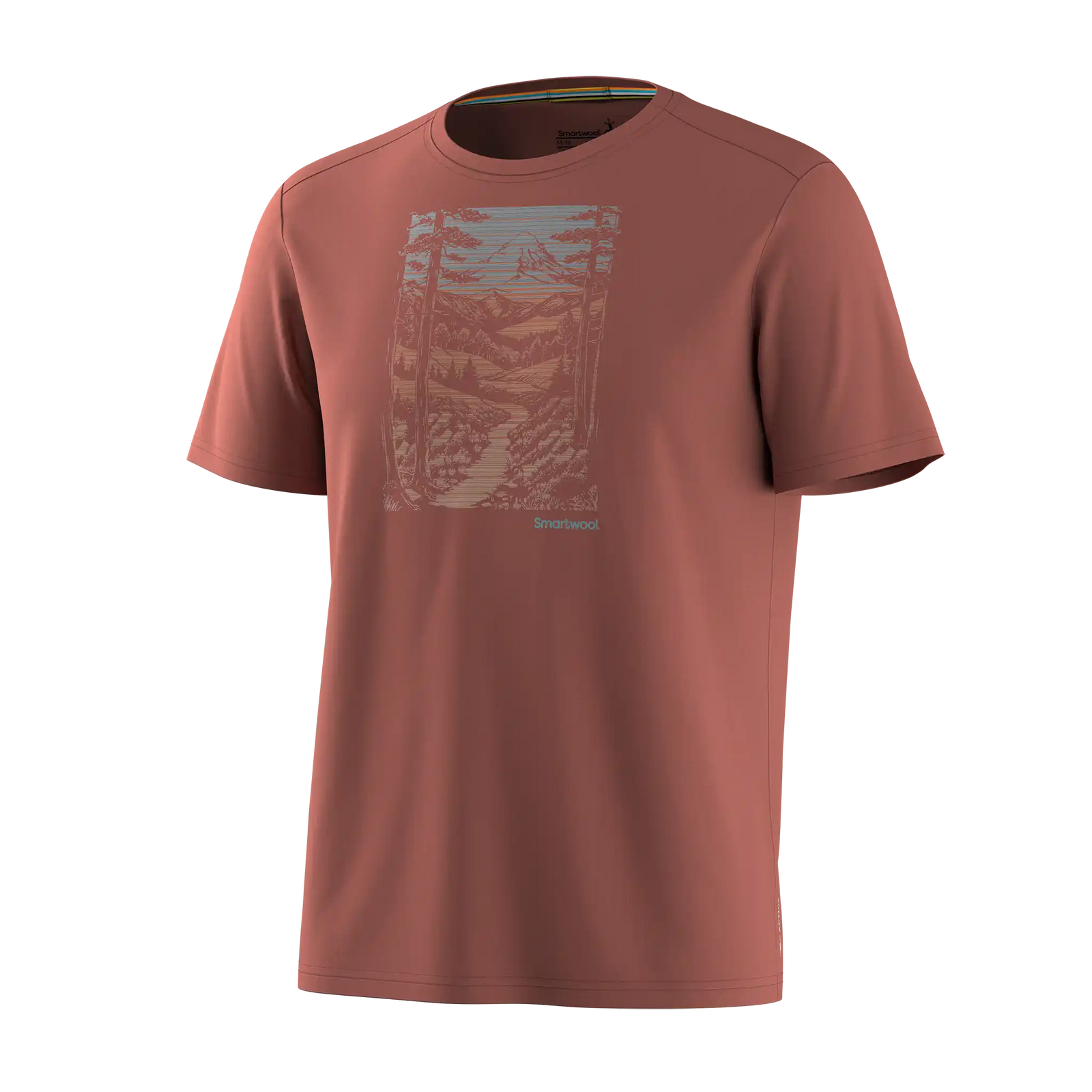 Smartwool T-shirt imprimé Winding Trail Active pour homme - Terre de Sienne calcinée