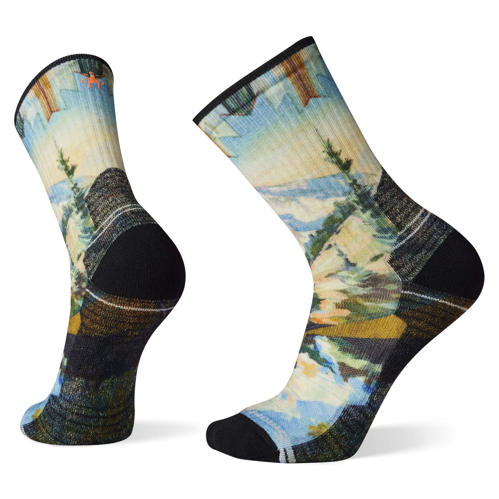 Smartwool Smartwool Performance Hike Light Cushion chaussettes imprimées homme