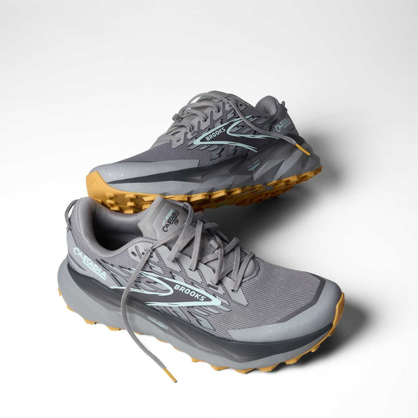 Brooks Cascadia 19 chaussures de course à pied trail homme