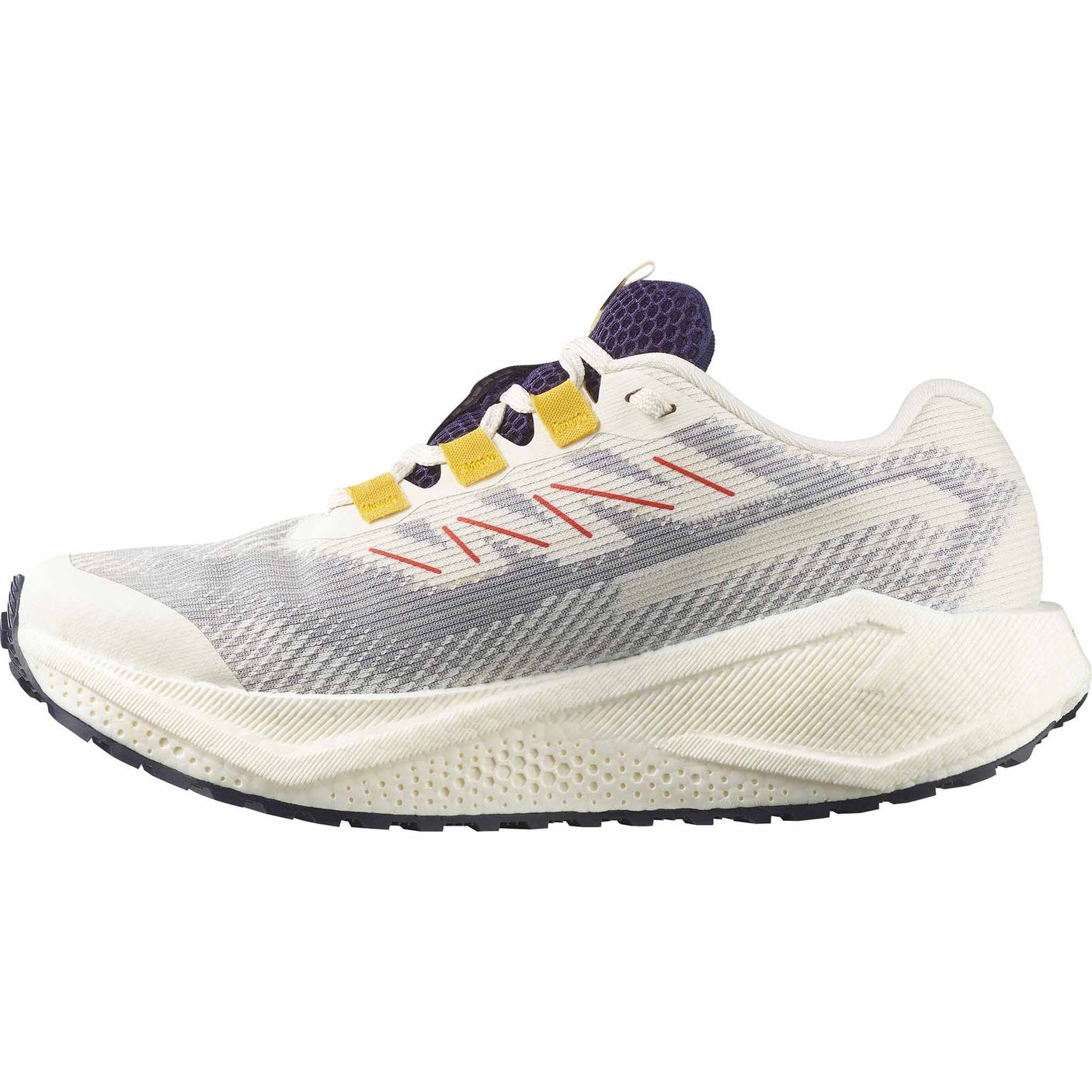 Salomon Salomon Aero Blaze 3 GRVL GTX chaussures de course à pied femme