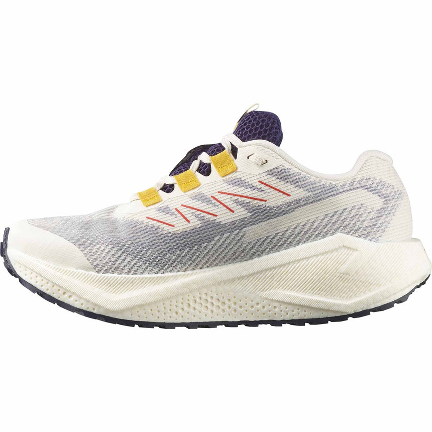 Salomon Salomon Aero Blaze 3 GRVL GTX chaussures de course à pied femme