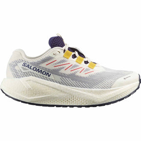 Salomon Salomon Aero Blaze 3 GRVL GTX chaussures de course à pied femme