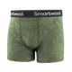 Smartwool Smartwool caleçon boxeur imprimé Merino pour hommes - Floral fougère festive