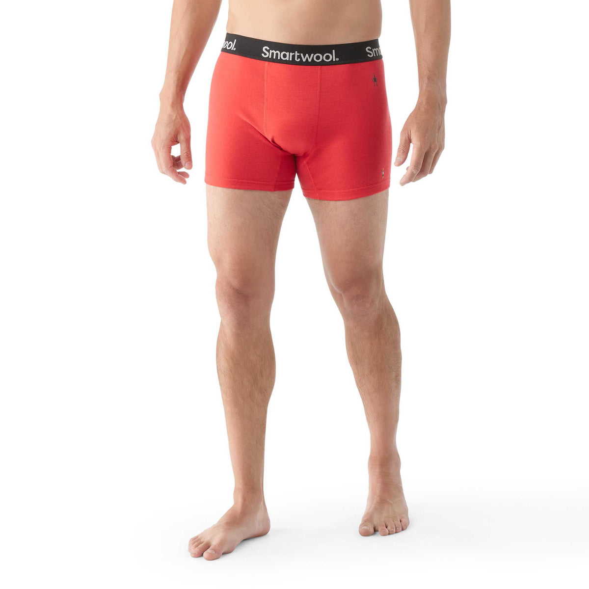 Smartwool Smartwool caleçon boxeur en laine mérinos pour hommes