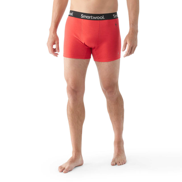 Smartwool Smartwool caleçon boxeur en laine mérinos pour hommes